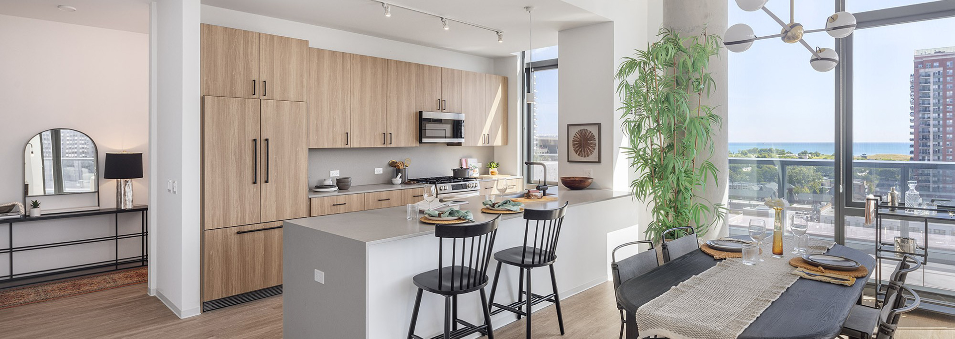 Neveseno South Loop Penthouse Apartment Kitchen