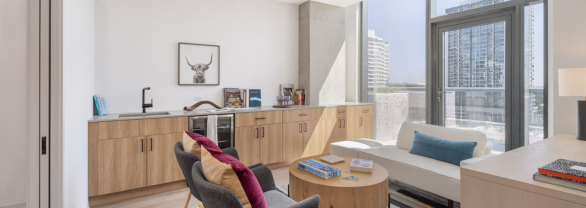 Neveseno South Loop Penthouse Apartment